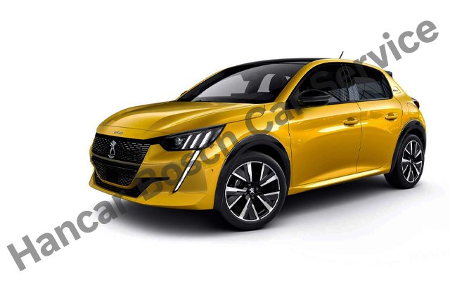 Bolu Peugeot Servisi 